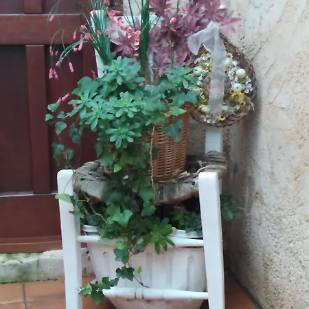 Pinar De Cabanuelas Villanueva de Duero