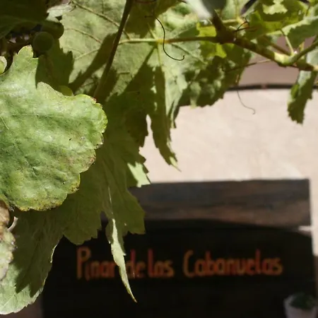 Pinar De Cabanuelas Villanueva de Duero