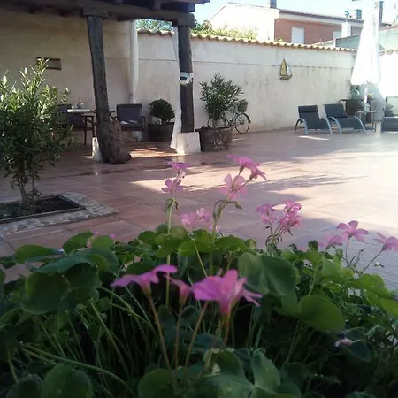 Pinar De Cabanuelas * Villanueva de Duero