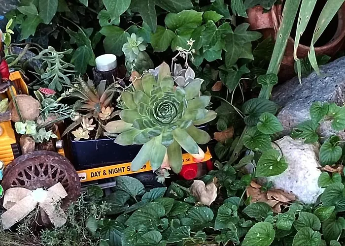 Pinar De Cabanuelas Villanueva de Duero