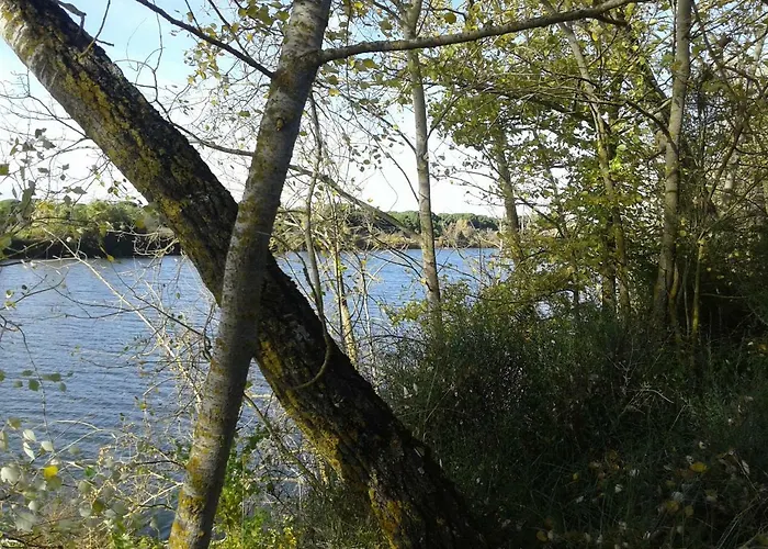 Pinar De Cabanuelas Casa de Férias *