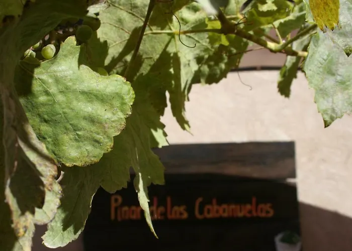 Pinar De Cabanuelas Villanueva de Duero