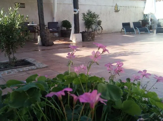 Pinar De Cabanuelas * Villanueva de Duero