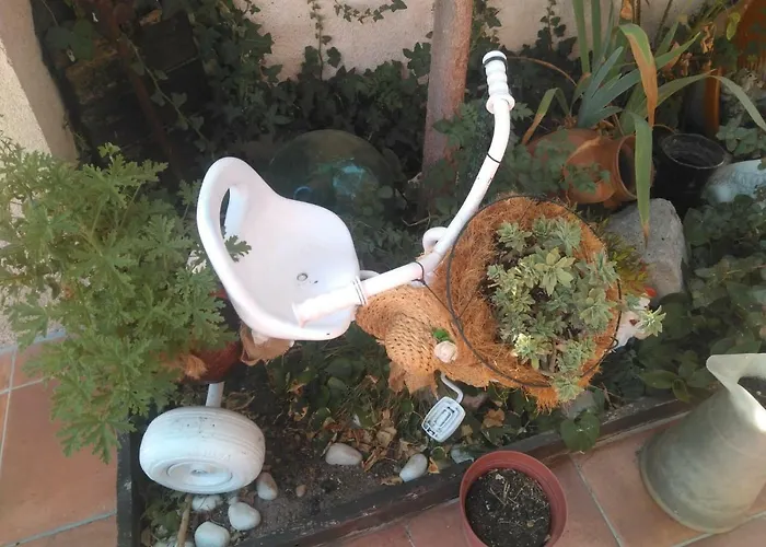 Pinar De Cabanuelas * Villanueva de Duero